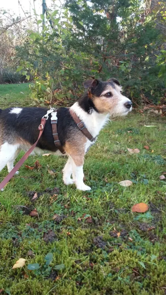 Condolence image of Claudia mit Paul im Herzen ♥️