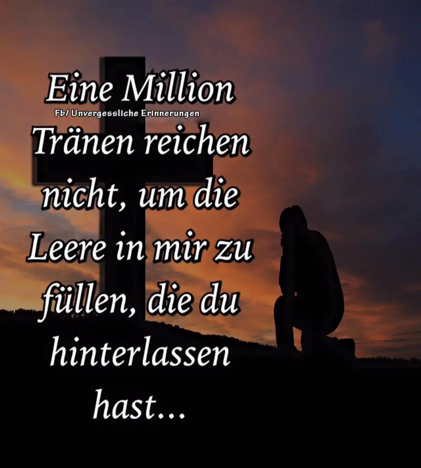 Condolence image of Hedi mit Max im Herzen 