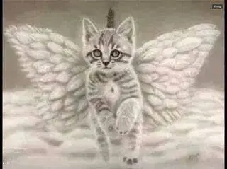 Condolence image of USCHI !!!