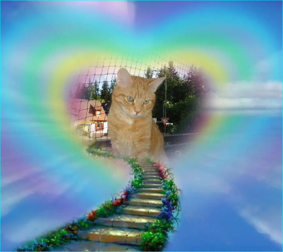 Image from Max