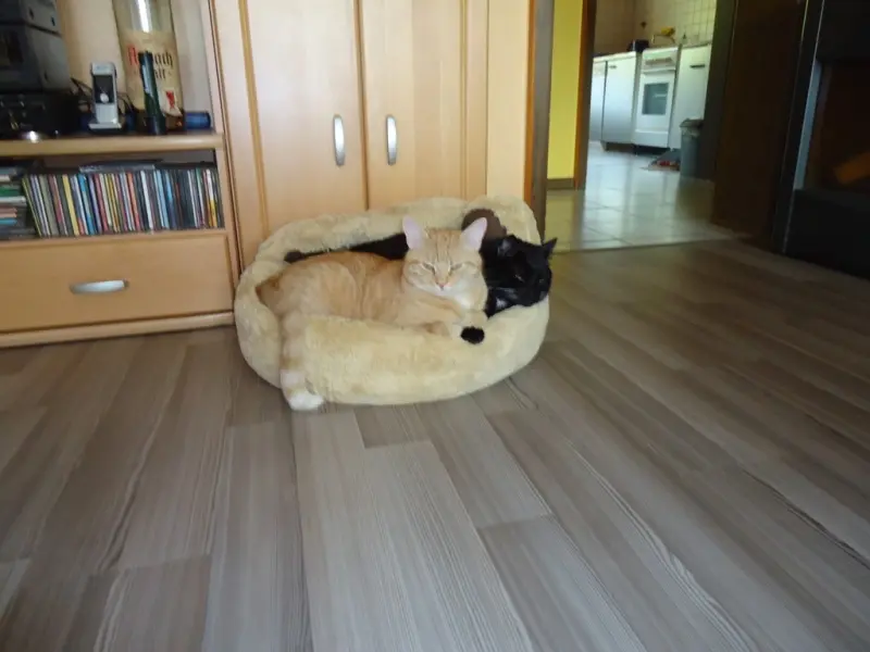 Image from Max