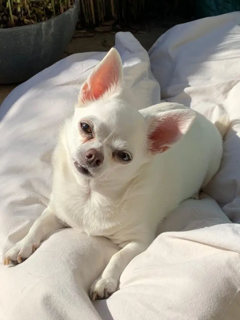 Condolence image of Silkke und Armin mit Ilay im Herzen