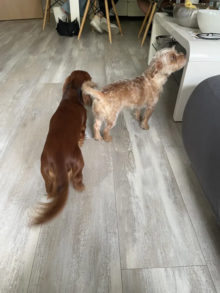 Condolence image of Petra  Blobel