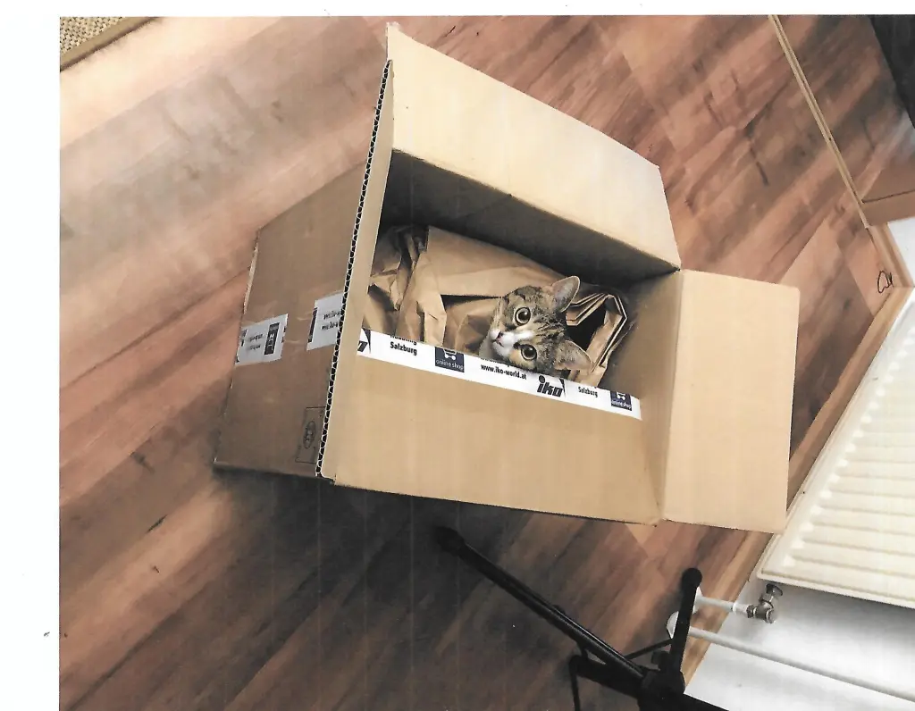 Image from Fee (Feelein)