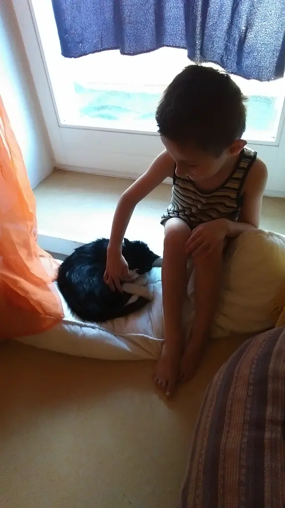 Image from Flecki