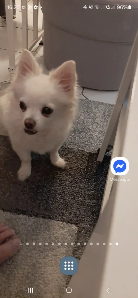 Condolence image of Heidi