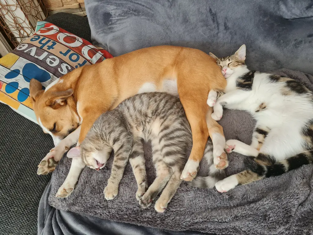 Condolence image of Claudia und Bodo Vita