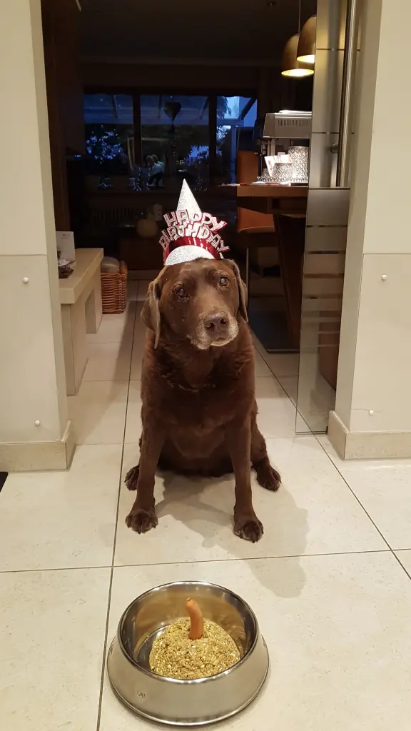 Condolence image of Elisabeth