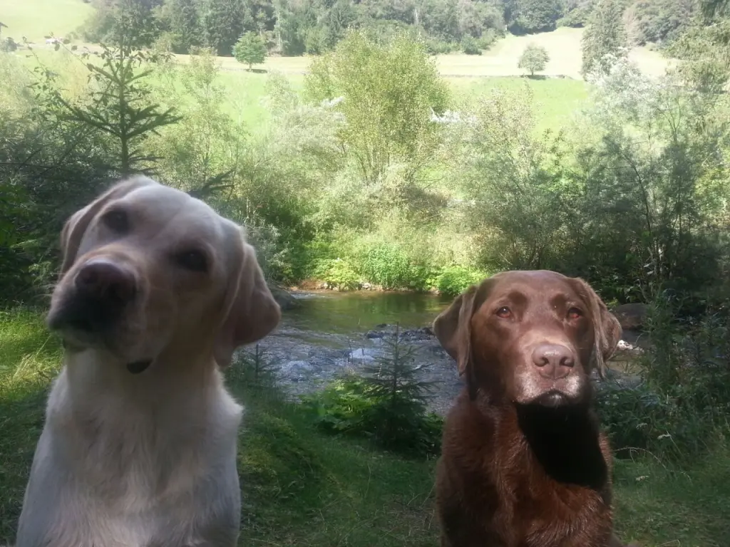 Condolence image of Unbekannt