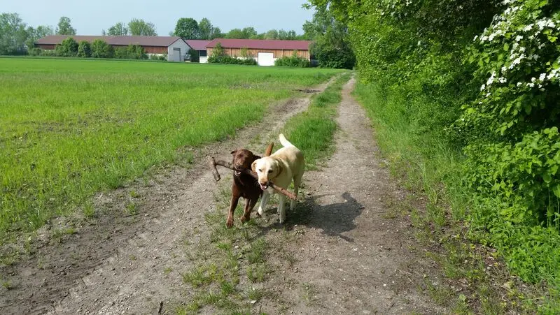 Condolence image of Elisabeth 