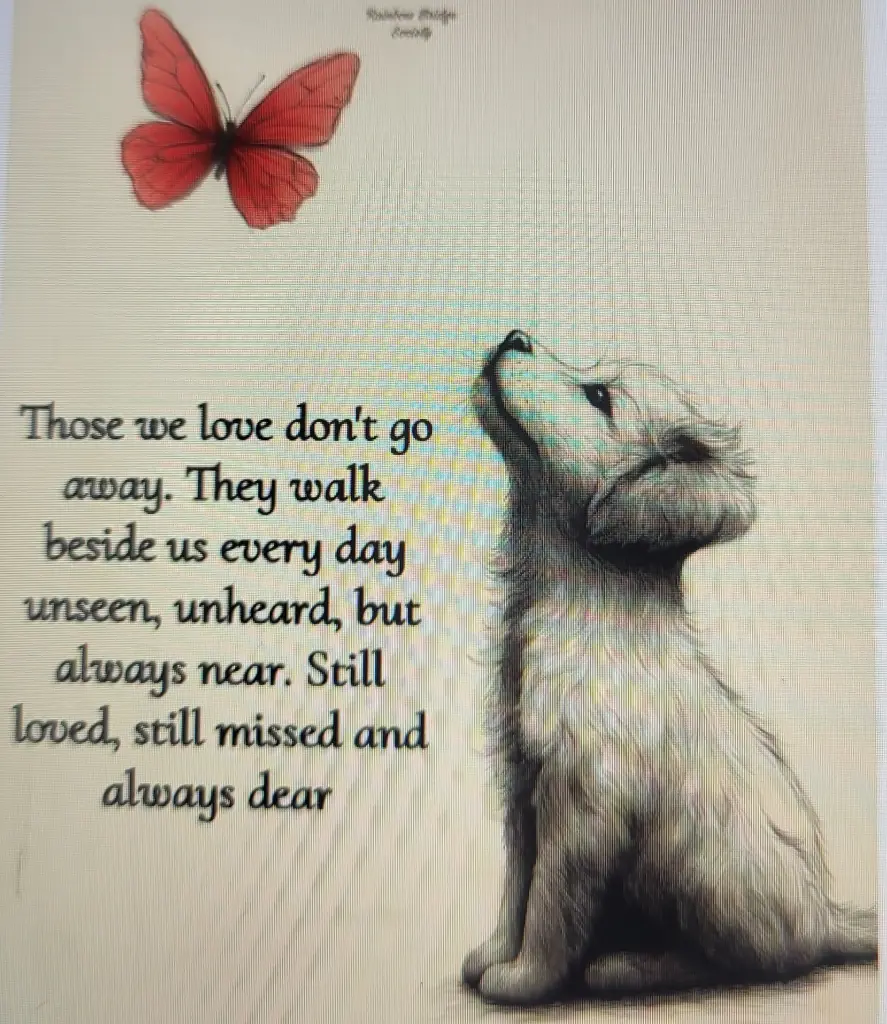 Condolence image of Für Mona❤️