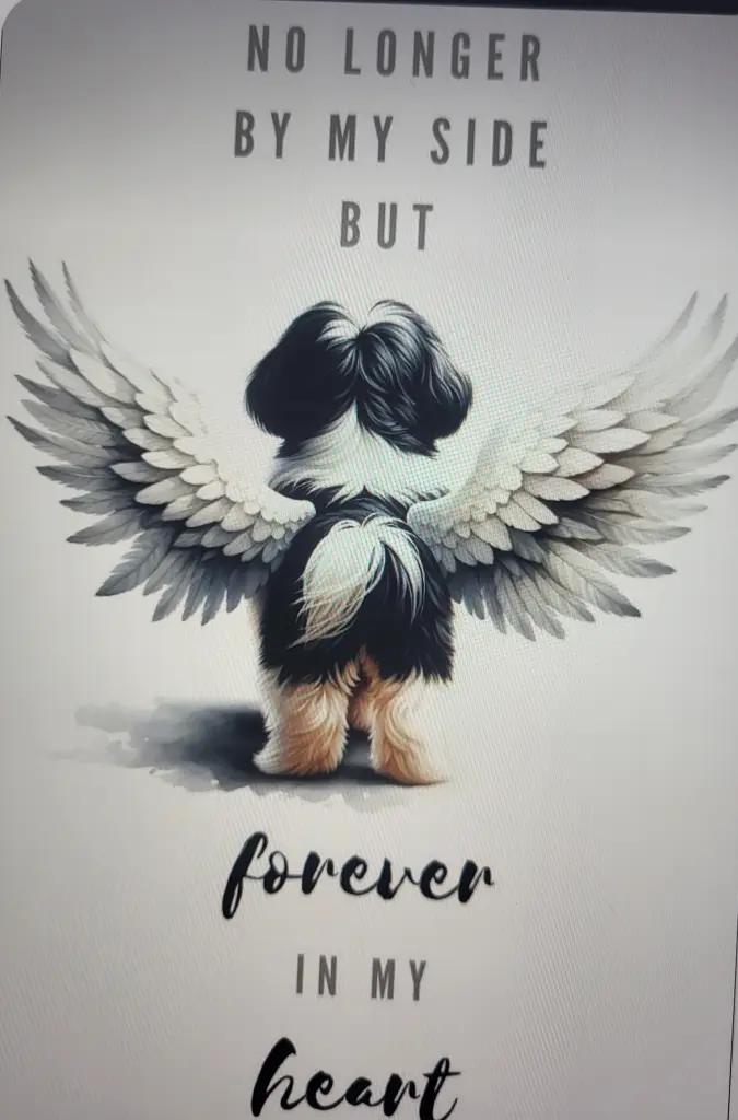 Condolence image of Elisabeth 