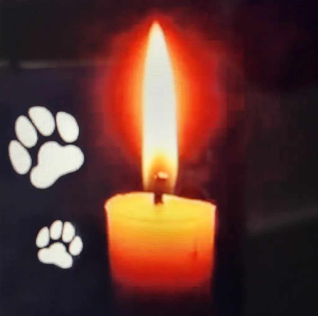 Condolence image of Kerstin m. Ludwig❤️