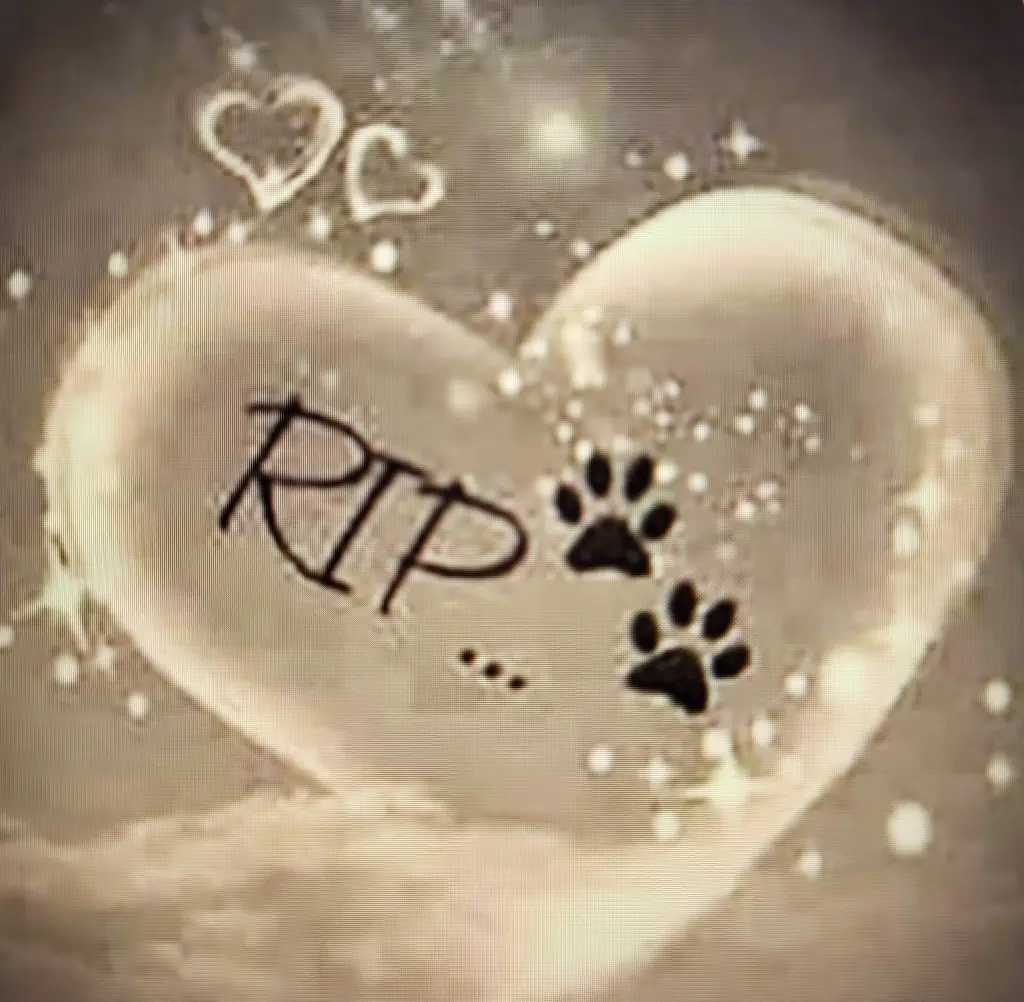 Condolence image of Lena