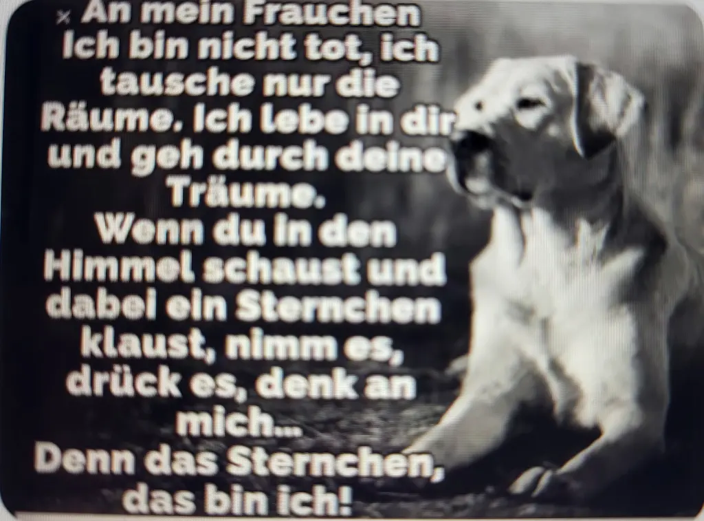 Condolence image of Gerit m. Ben❤️