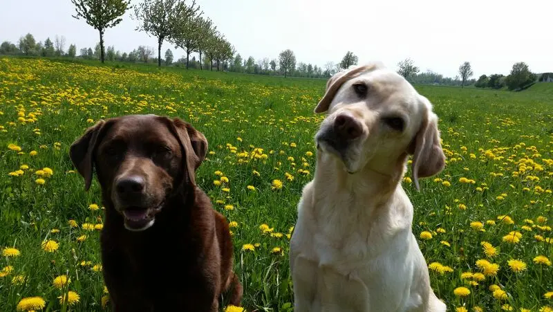 Condolence image of Elisabeth