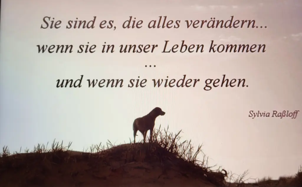 Condolence image of Birgit 