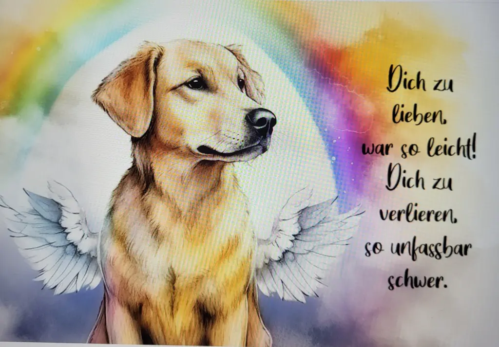 Condolence image of Elisabeth 