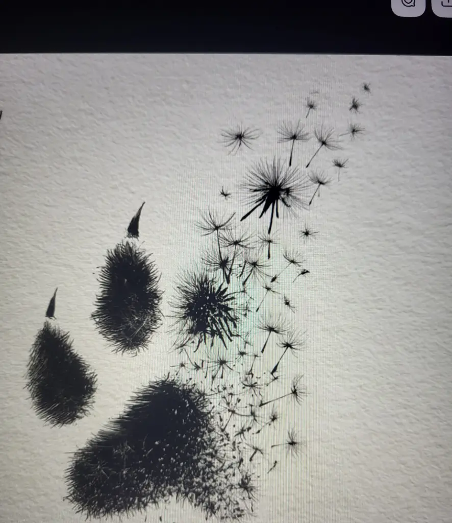 Condolence image of Elisabeth 