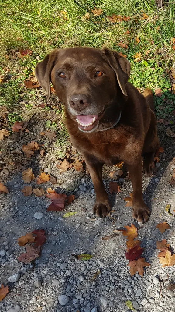 Condolence image of Elisabeth 