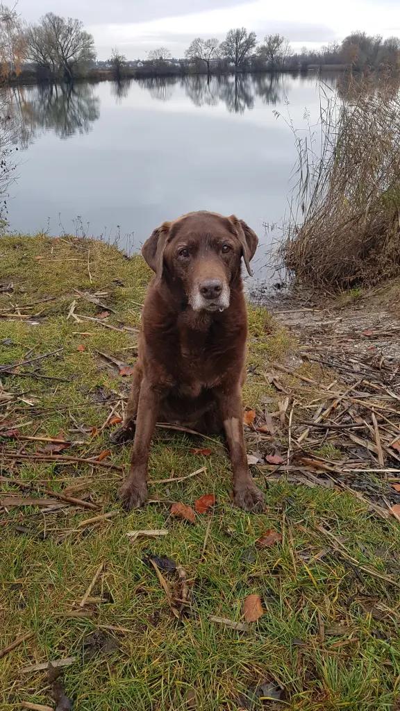 Condolence image of Elisabeth