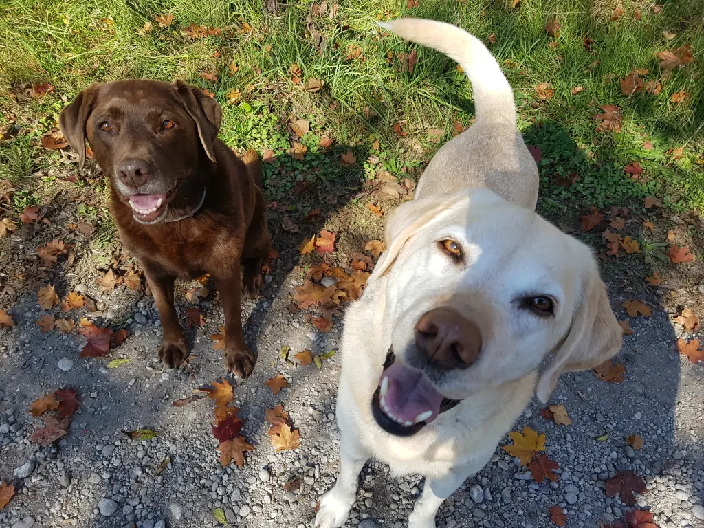 Condolence image of Elisabeth