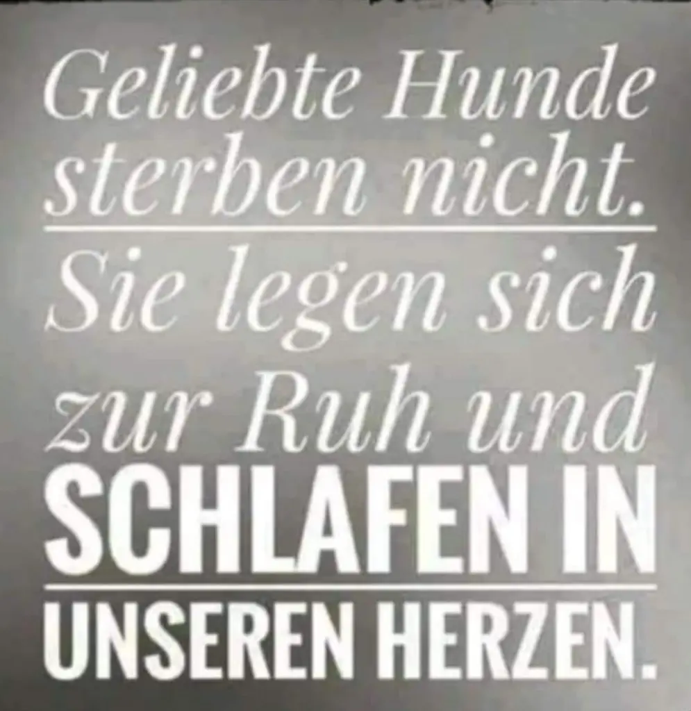 Condolence image of Traudl