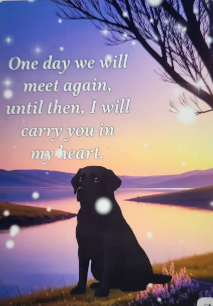 Condolence image of Elisabeth