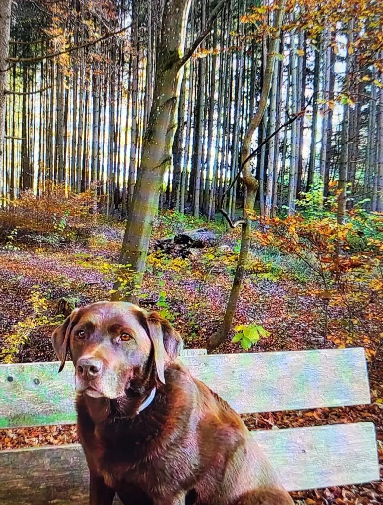 Condolence image of Elisabeth