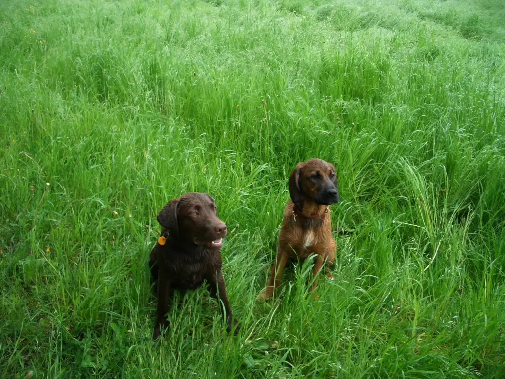 Condolence image of Edda