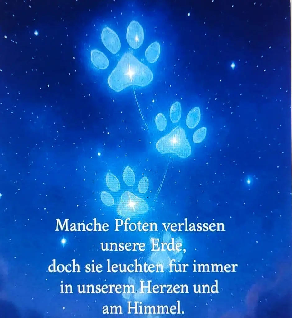 Condolence image of Elisabeth