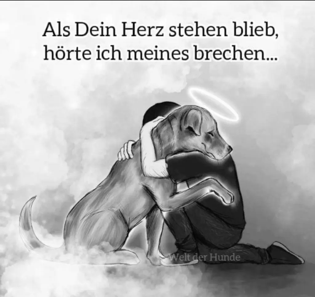 Condolence image of Elisabeth