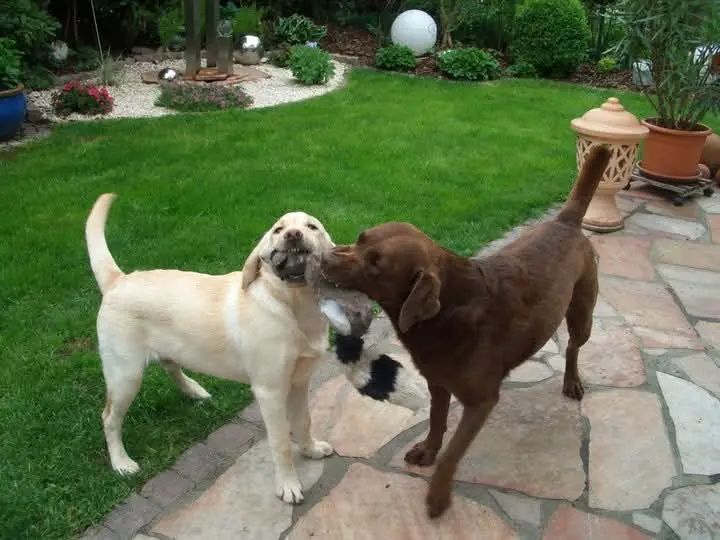 Condolence image of Elisabeth