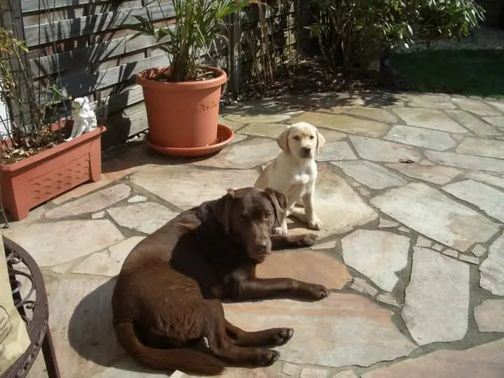 Condolence image of Elisabeth