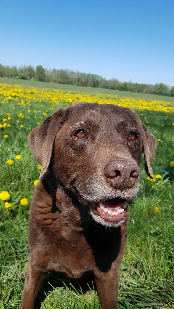 Condolence image of Elisabeth
