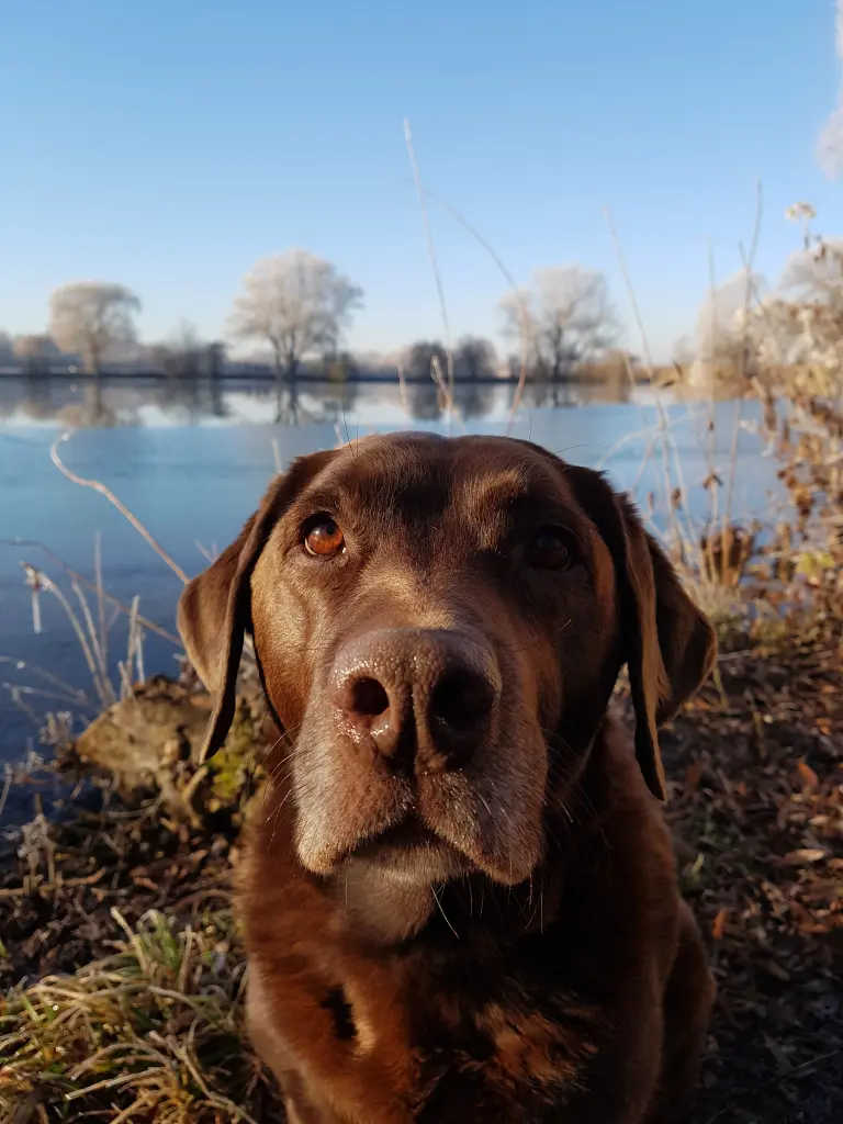 Condolence image of Elisabeth