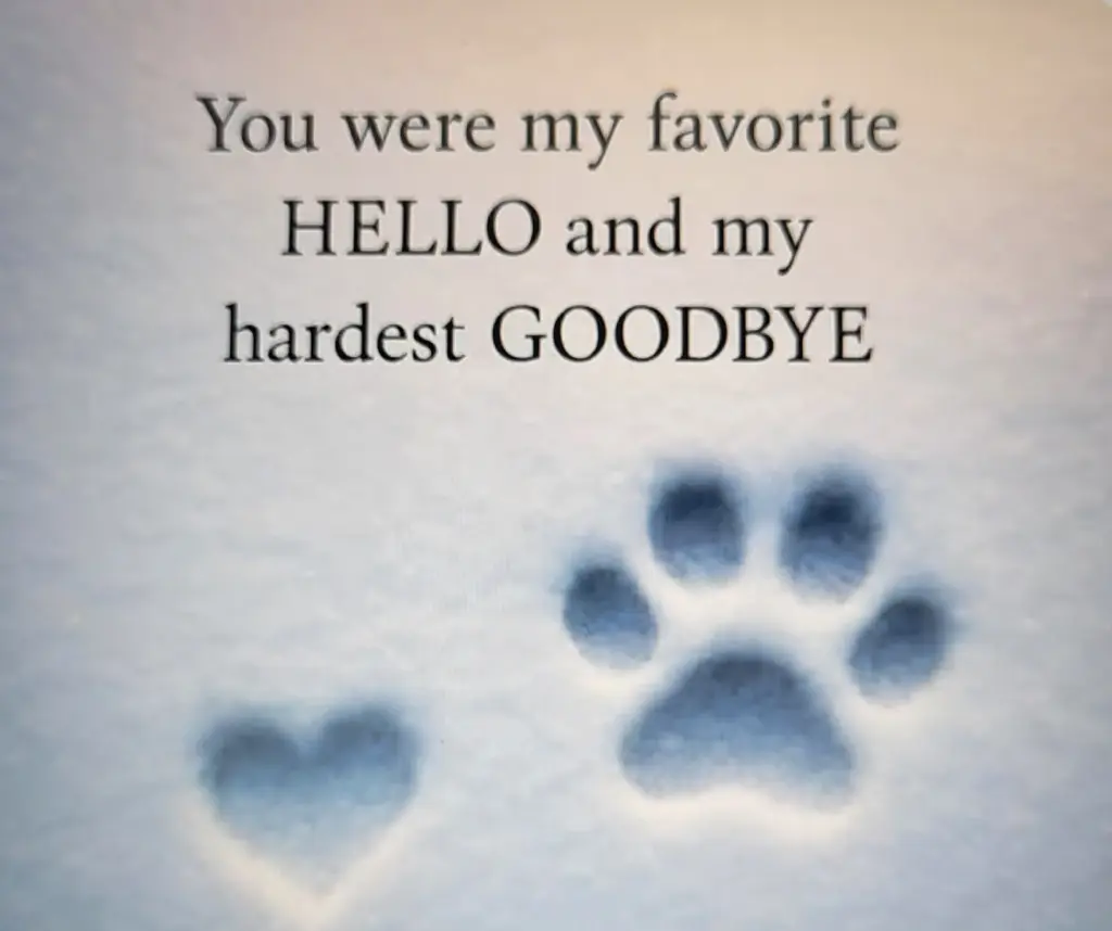 Condolence image of Elisabeth