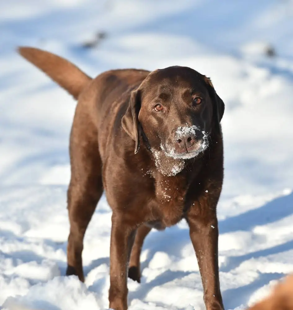 Condolence image of Elisabeth 💔