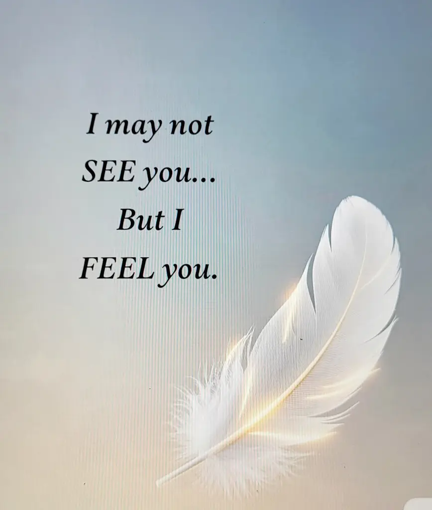 Condolence image of Alex