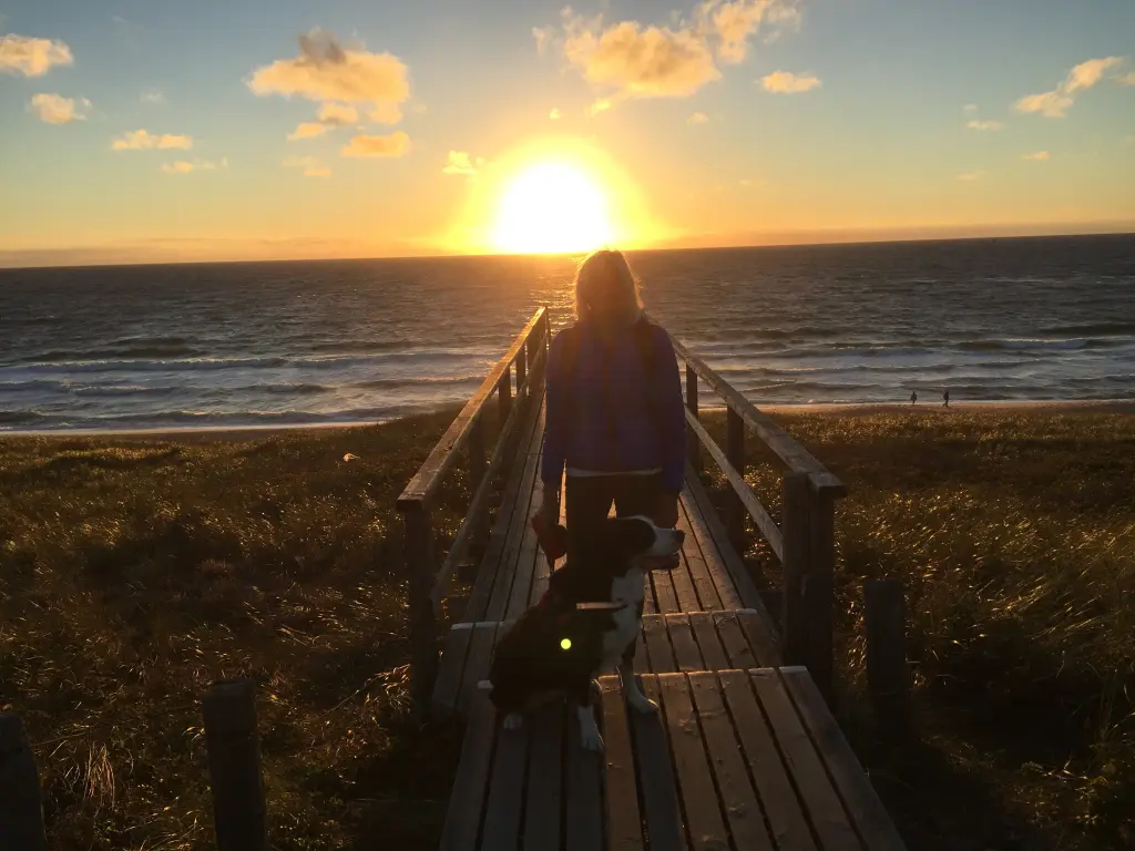 Condolence image of Heike 