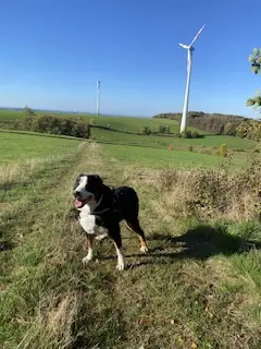 Condolence image of Heike 