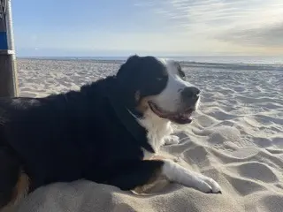 Condolence image of Heike 