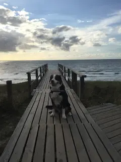 Condolence image of Heike 