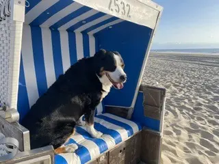 Condolence image of Heike 