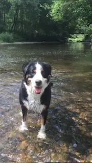 Condolence image of Heike 