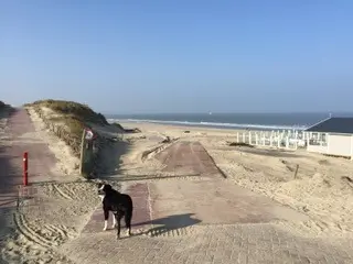 Condolence image of Heike 