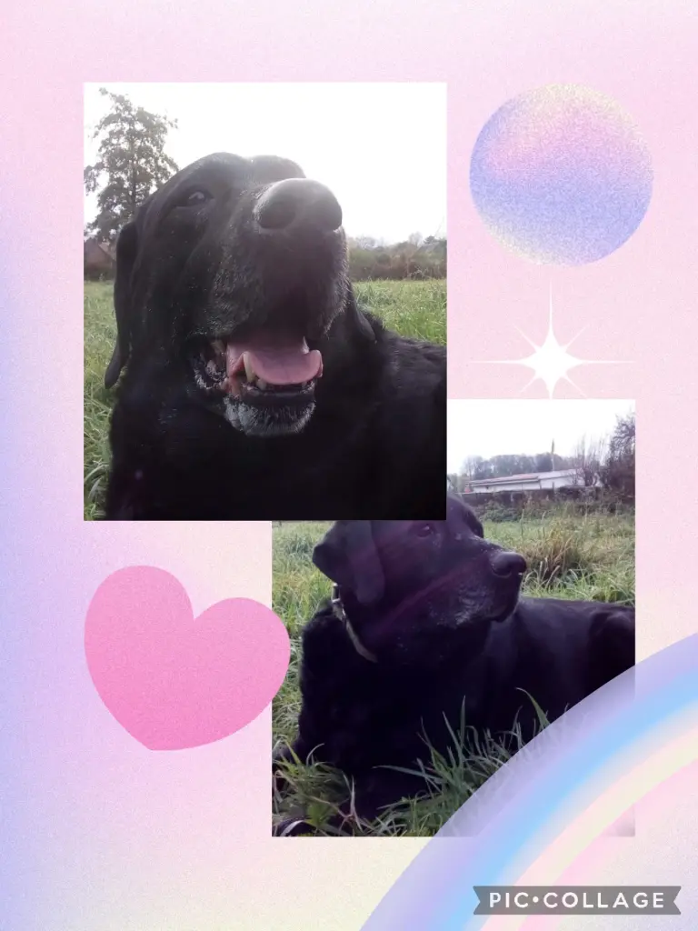 Condolence image of Susanne mit Carlos im Herzen