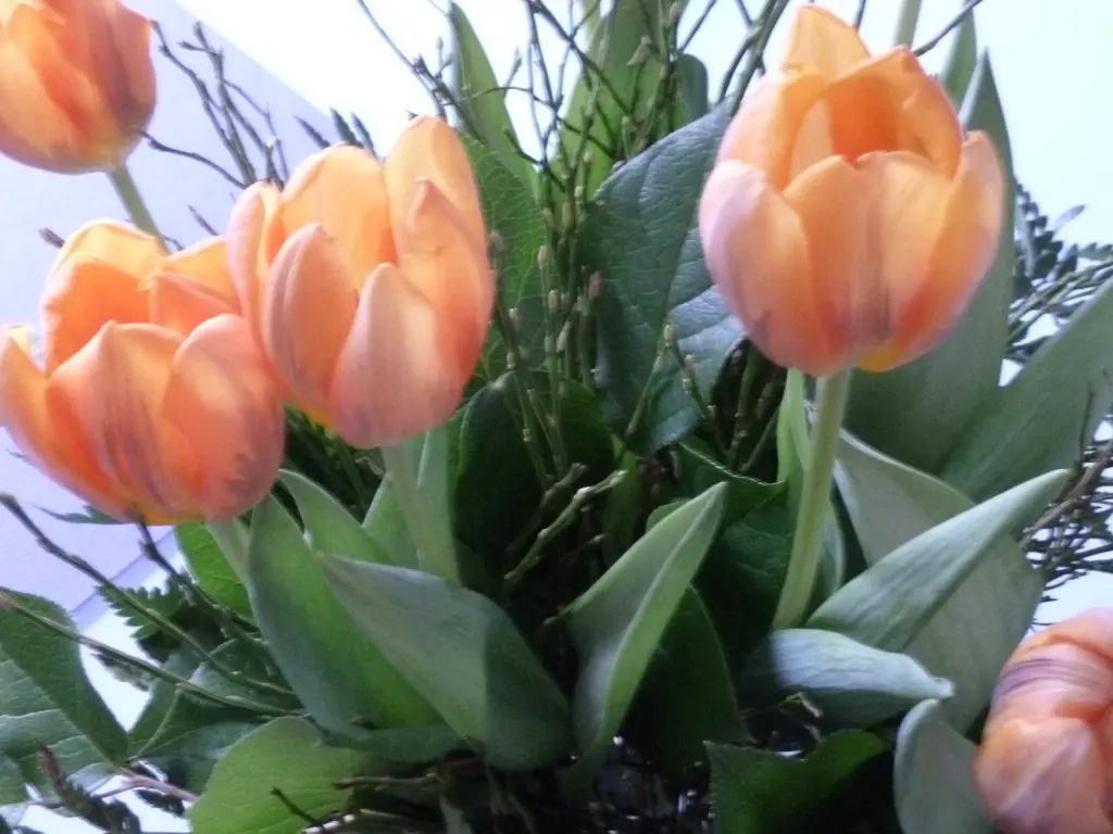 Condolence image of Wolfgang