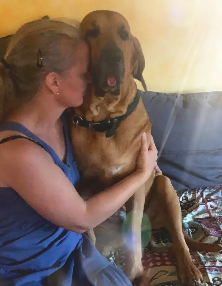 Condolence image of Silke mit Cara Luna im Herzen