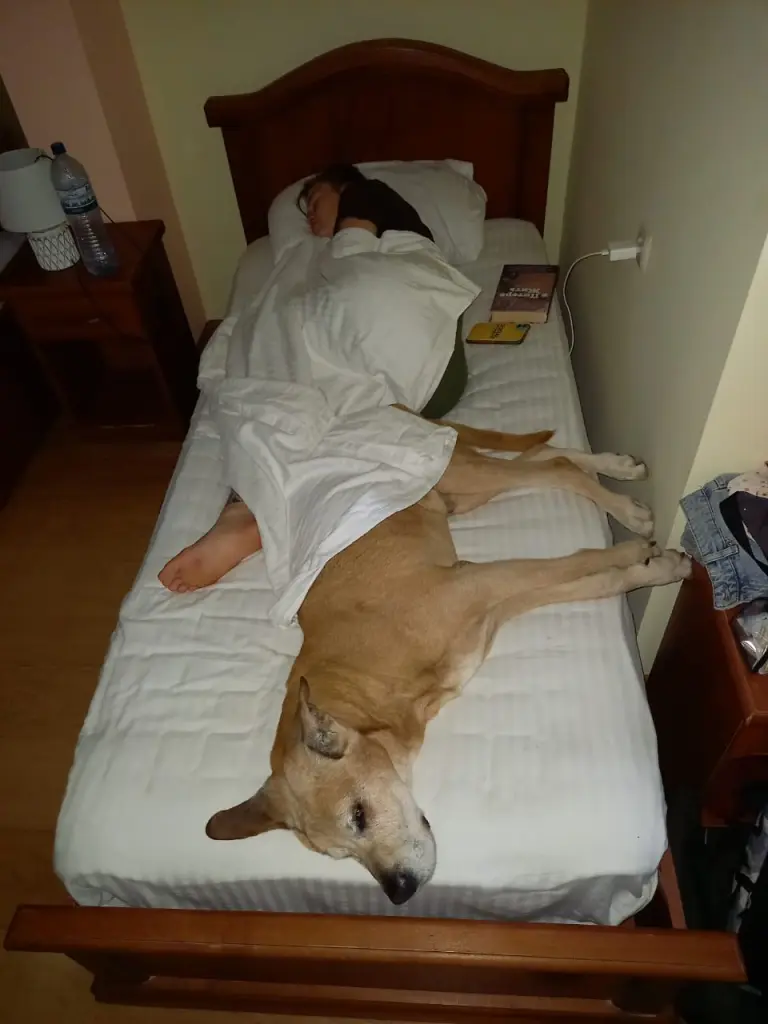 Image from Grey